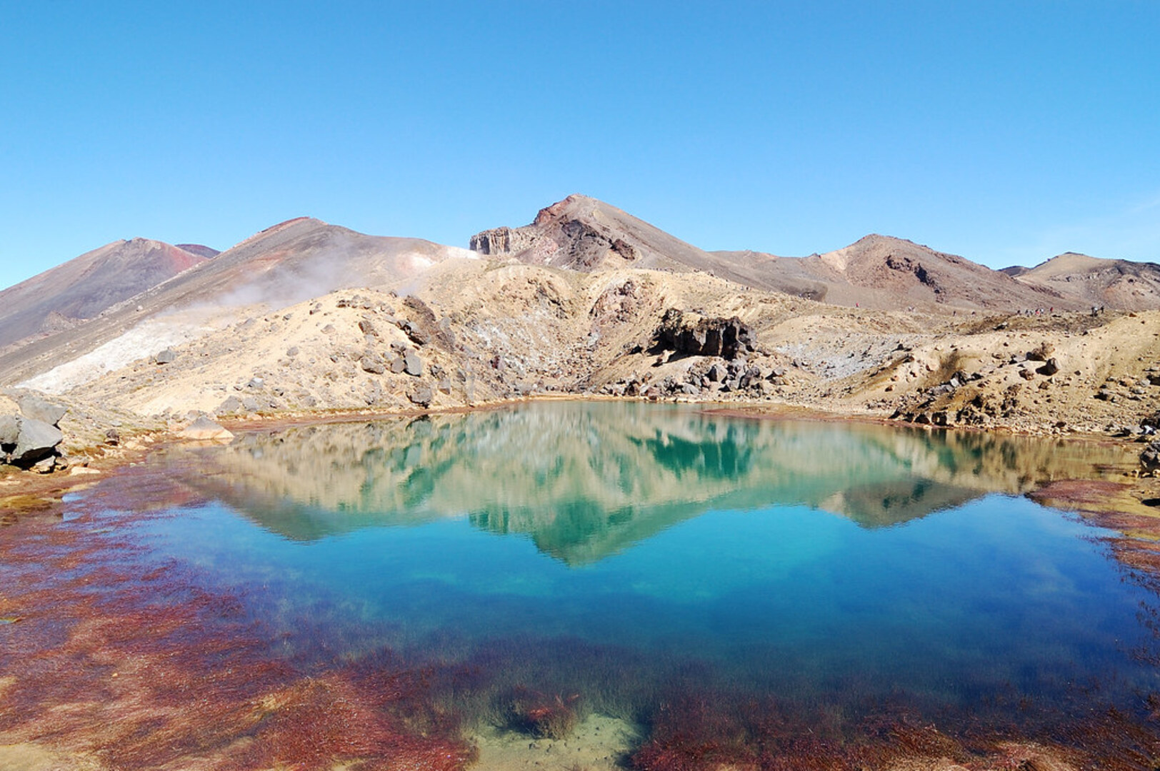 Tongariro Crossing: Ketetahi Park & Ride Trailhead Shuttle